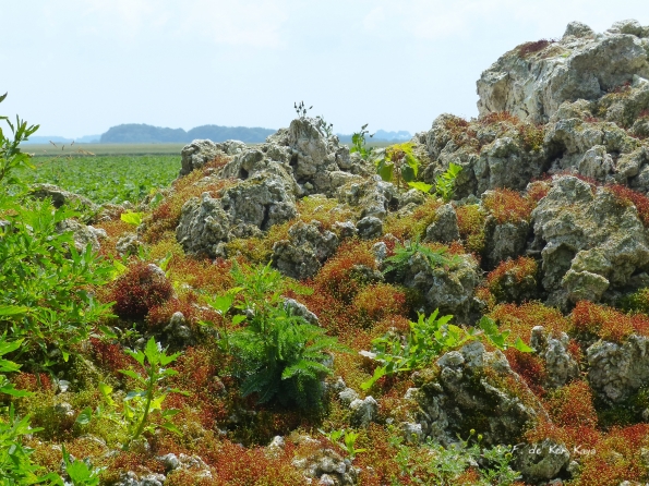 Improbable maquette crayeuse